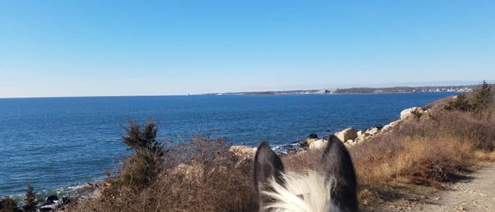 Horseback rinding and the deep blue water