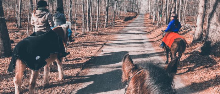 Group of horseback riders on a trail
