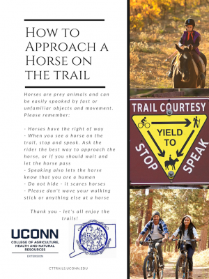 trail courtesy flyer and how to approach a horse on the trail