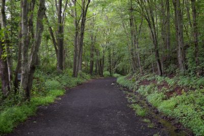 photo of East Hampton Airline State Park Trail 