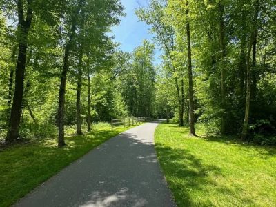 wide flat pathway on a sunny day with green vegetation around